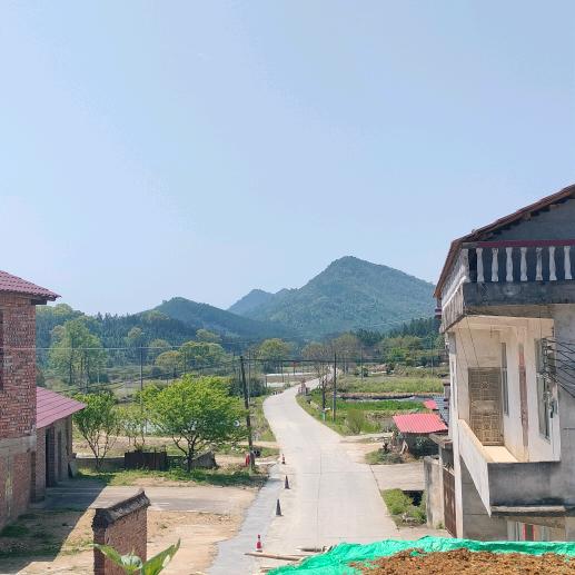 小小的童心