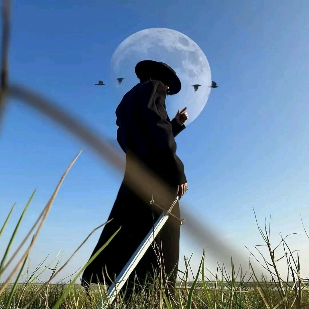 梦幻西游拂衣(旭旭宝宝传媒)