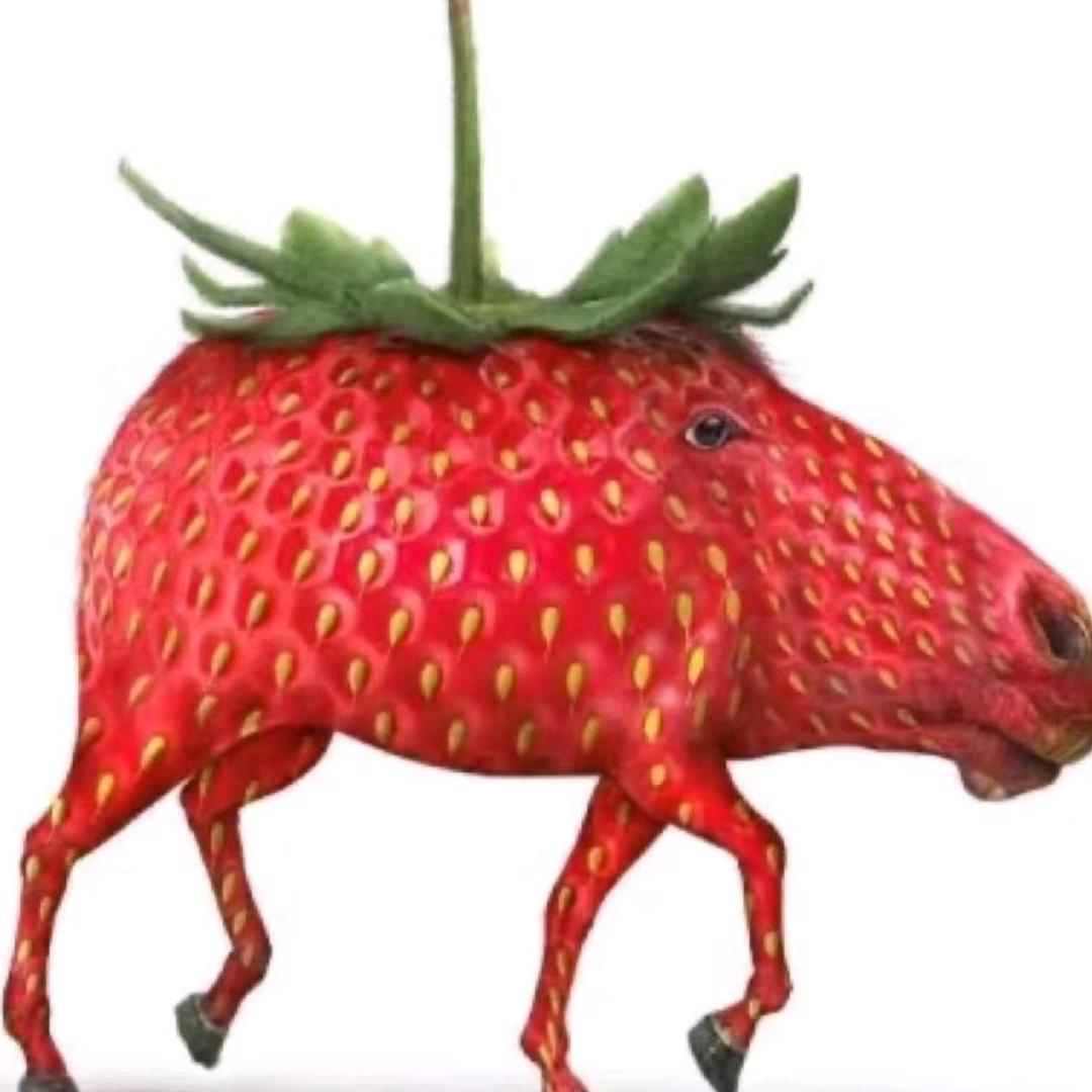 𝕏.熊宝