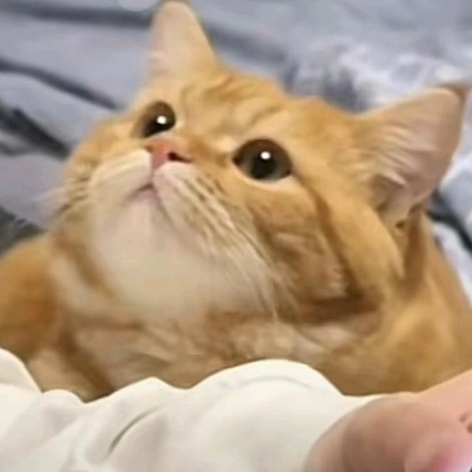 止咳急支糖江女士