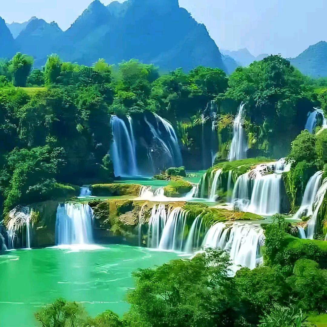 赵锦泽