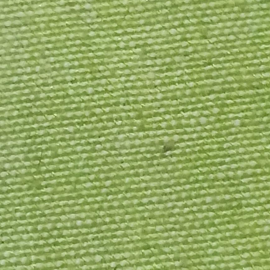 林艳艳商贸行爆爆