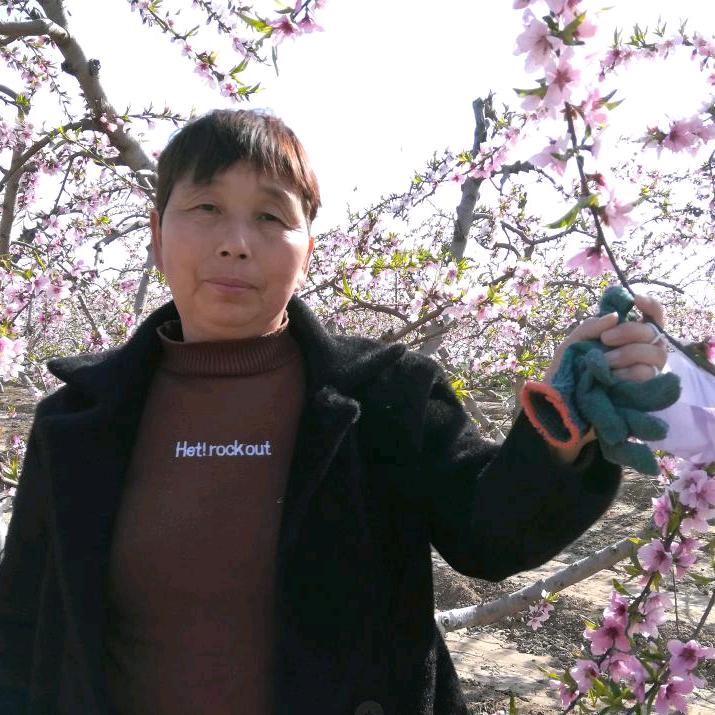 平安姐姐【好物优选】