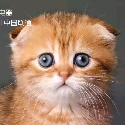 ♪