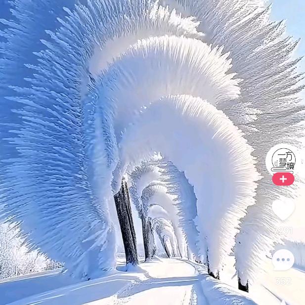 踏雪凌云