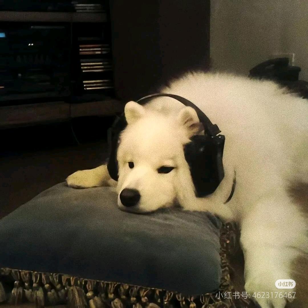 zzzzzzx