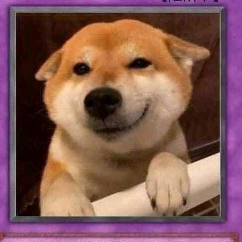 阿华在线
