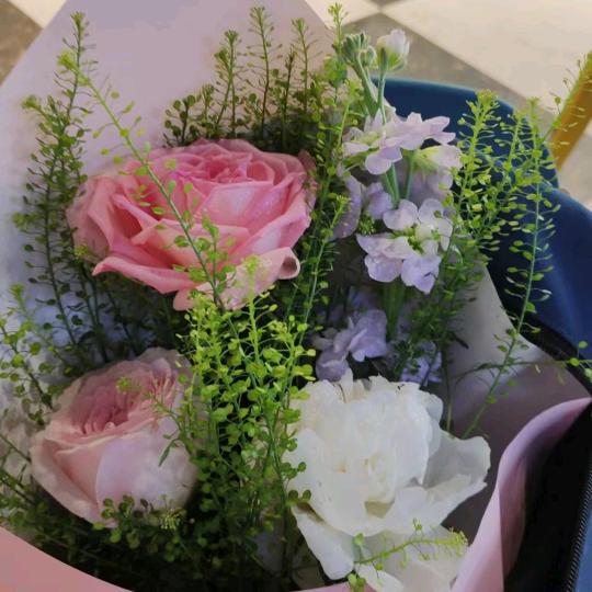 葛岗明门古方 颈肩腰腿疼