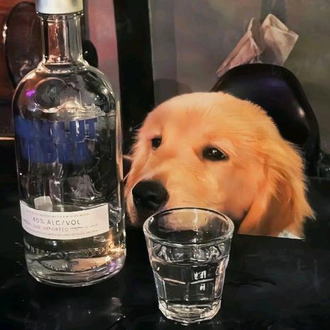 活的一般