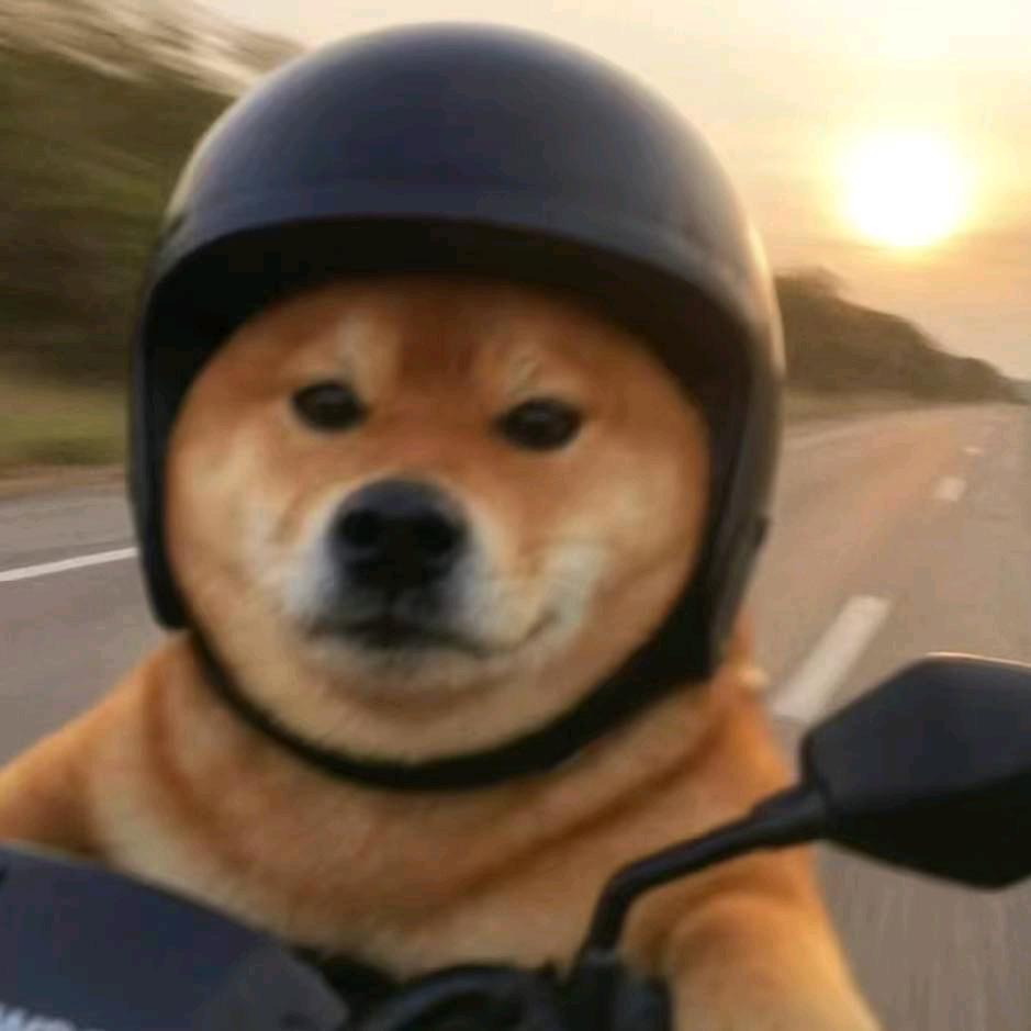 我喜欢\瓦瓦\牧童\子木仙