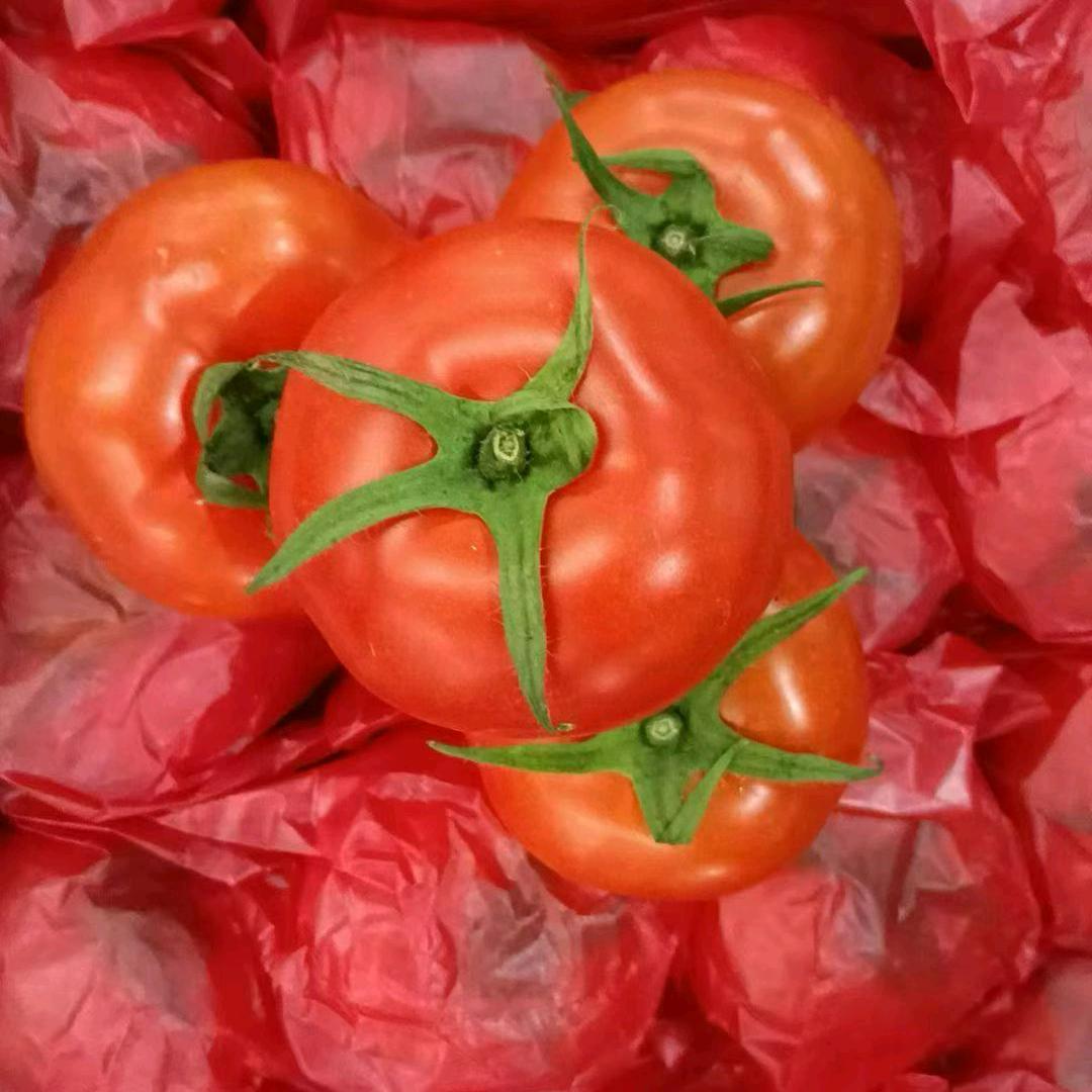 卖菜小哥