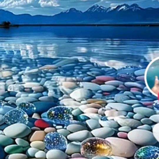 紫色优雅的神秘