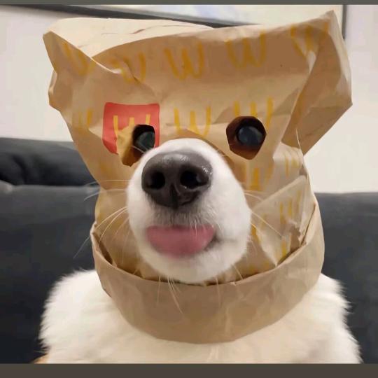 萌宠粮管家🐱🐶