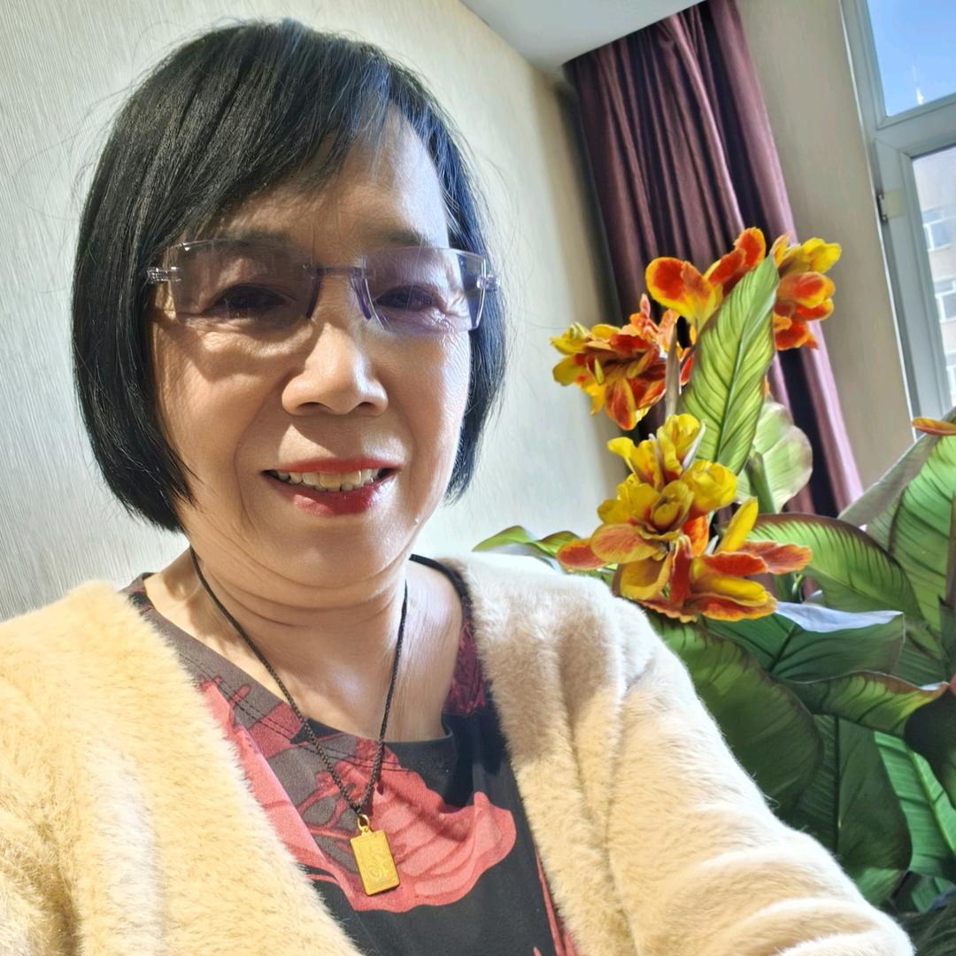 小毛衣