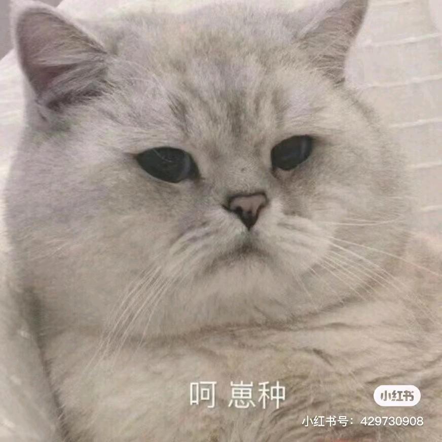 小点来啦