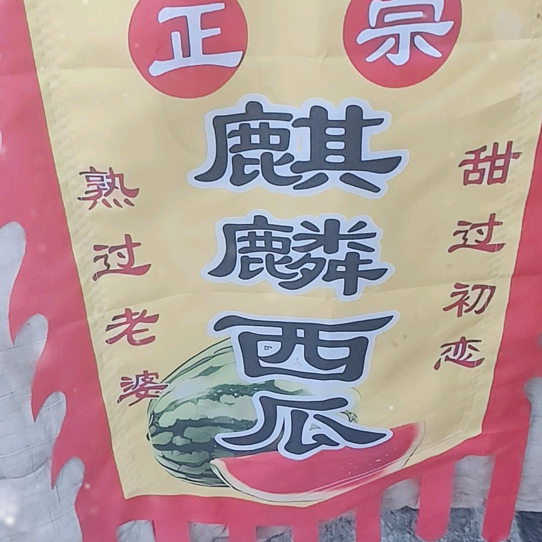 灰太狼水果