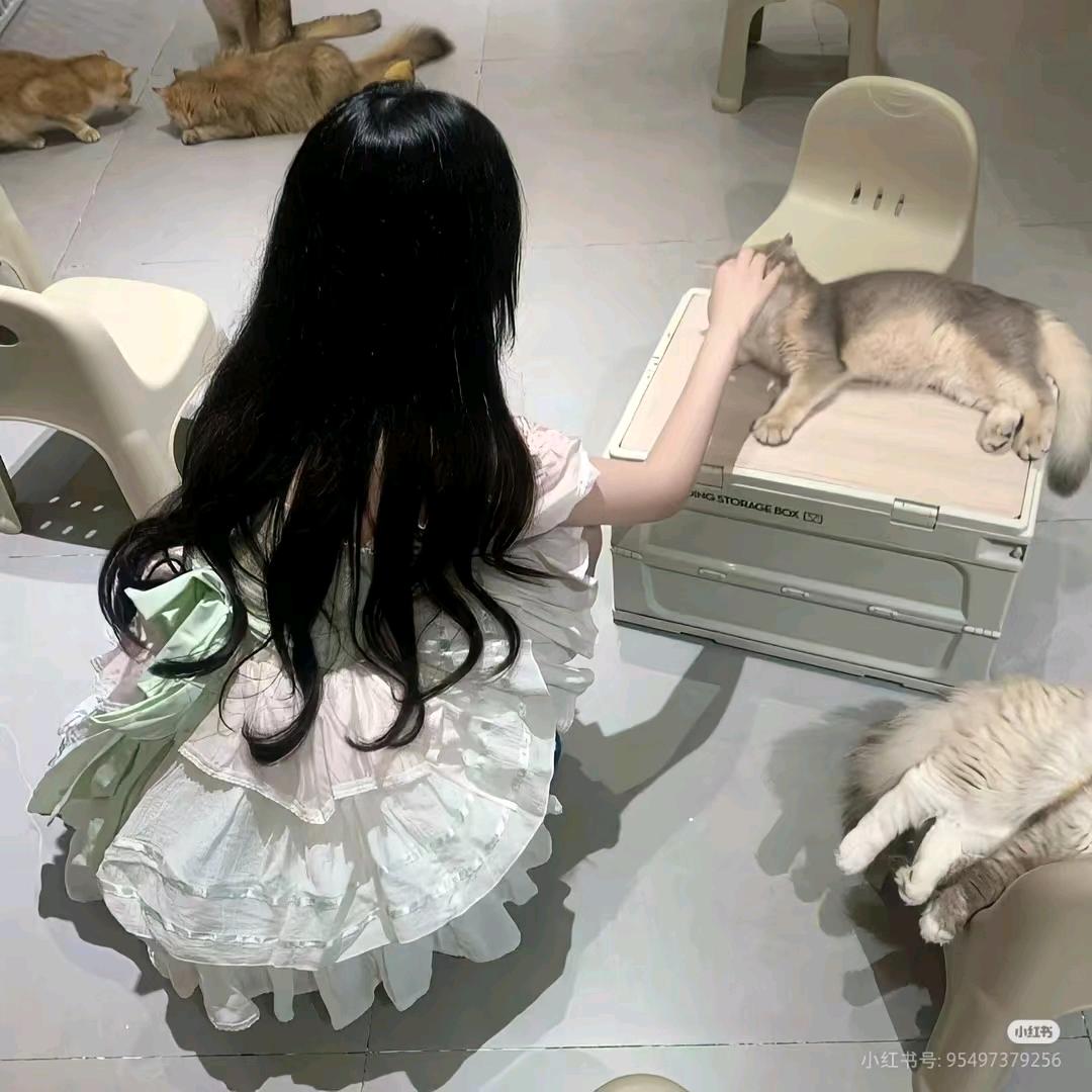 姜皖辞