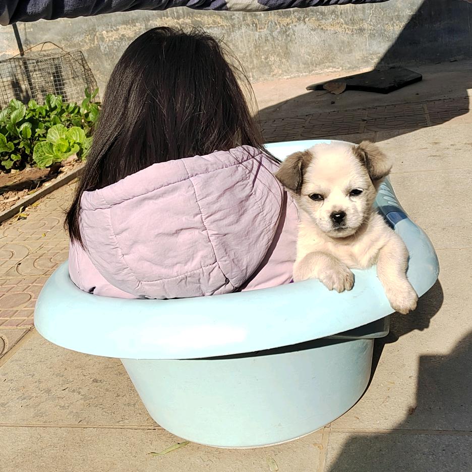 番茄不炒蛋ʚʕ̯•͡˔•̯᷅ʔɞ