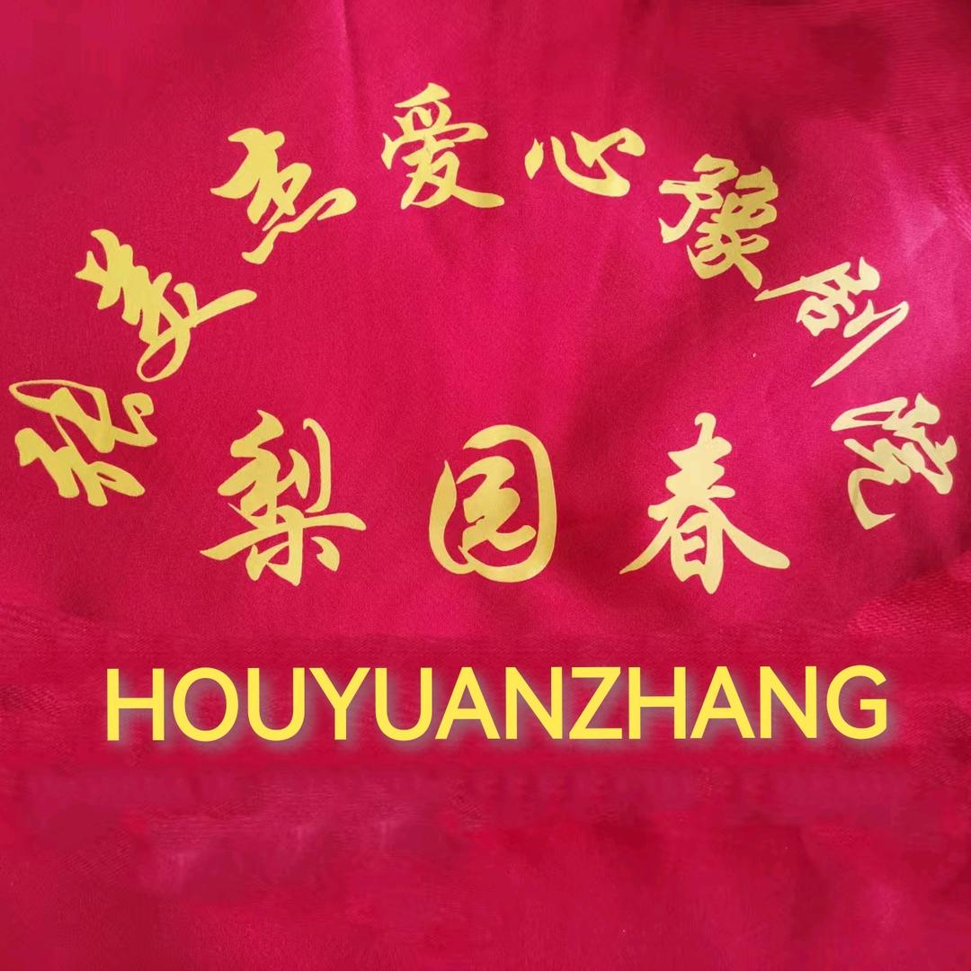 梨园春张美杰爱心豫剧院