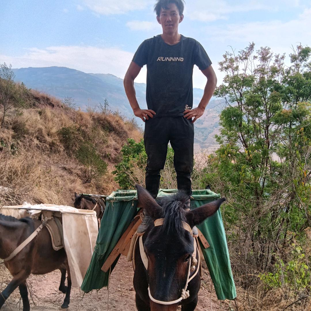 久居深海，我名孤独。