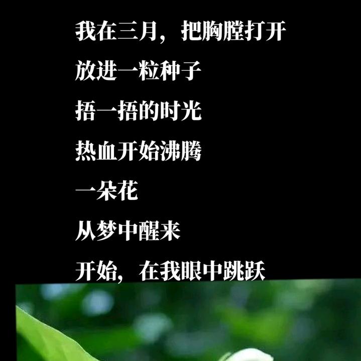 笨笨先生