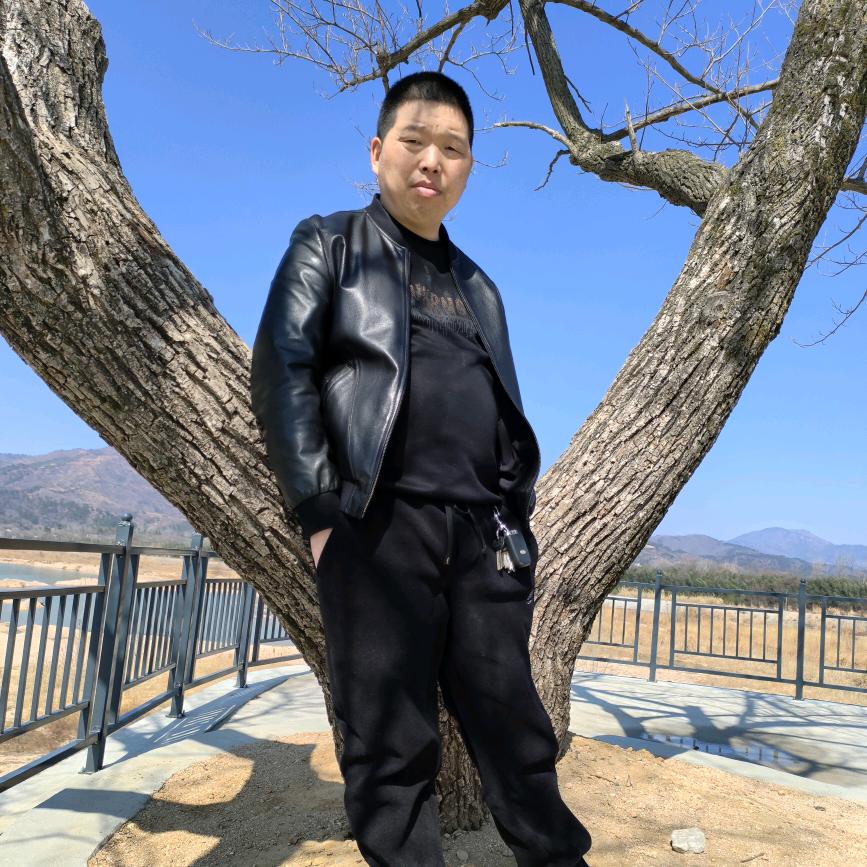 舞动人生