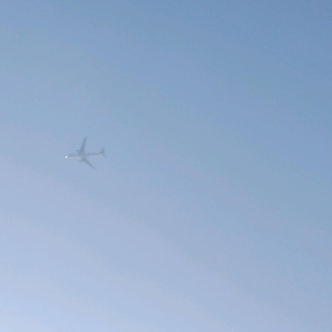 乐乐哥