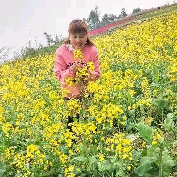 红娘二姐