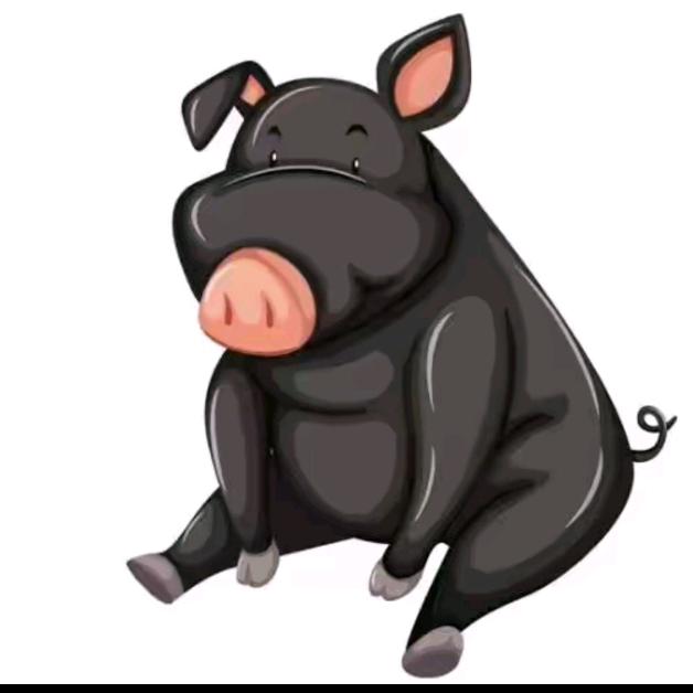 @小伏跑跑猪🐷