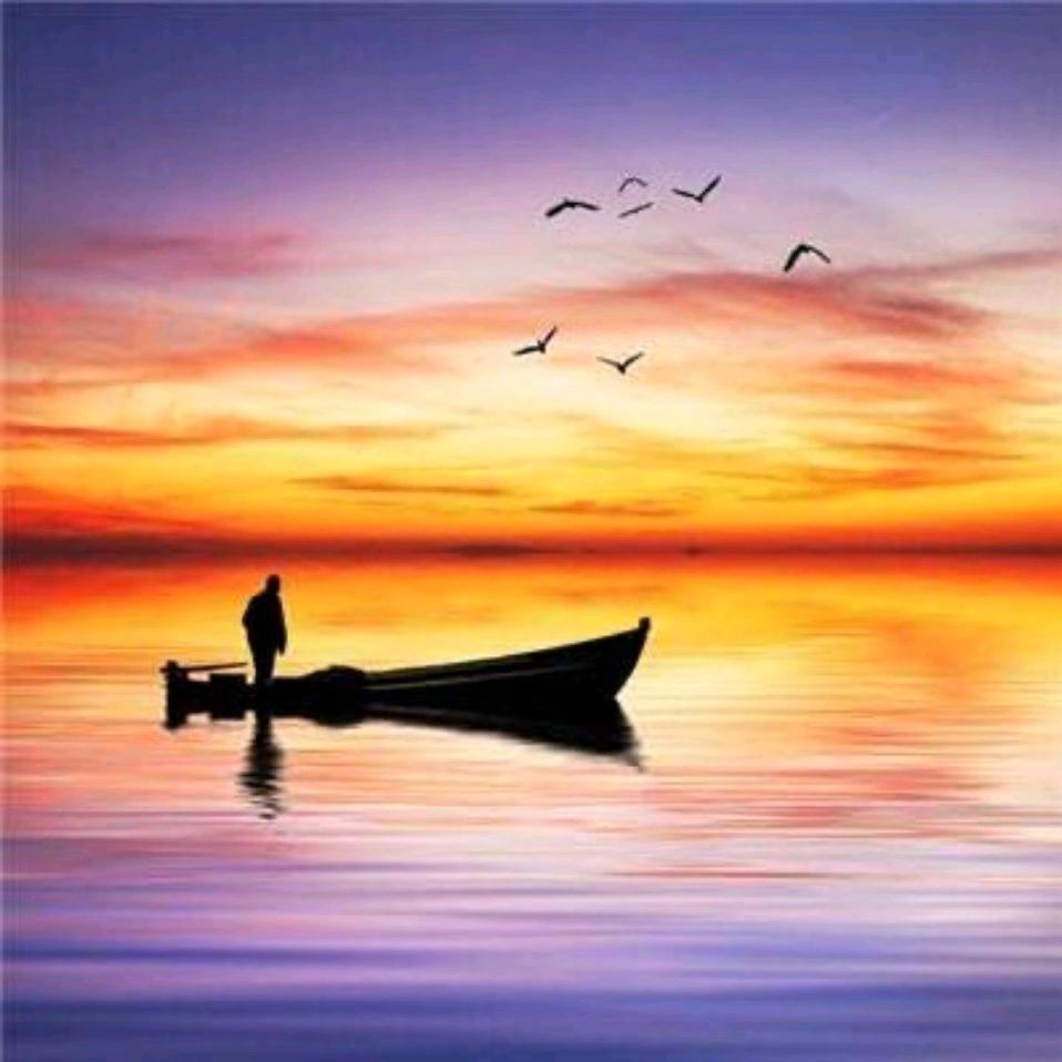 陈兵兵       🕷️