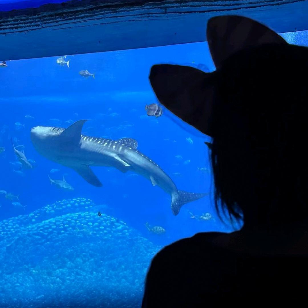 冰糖小葫鹿  🌱