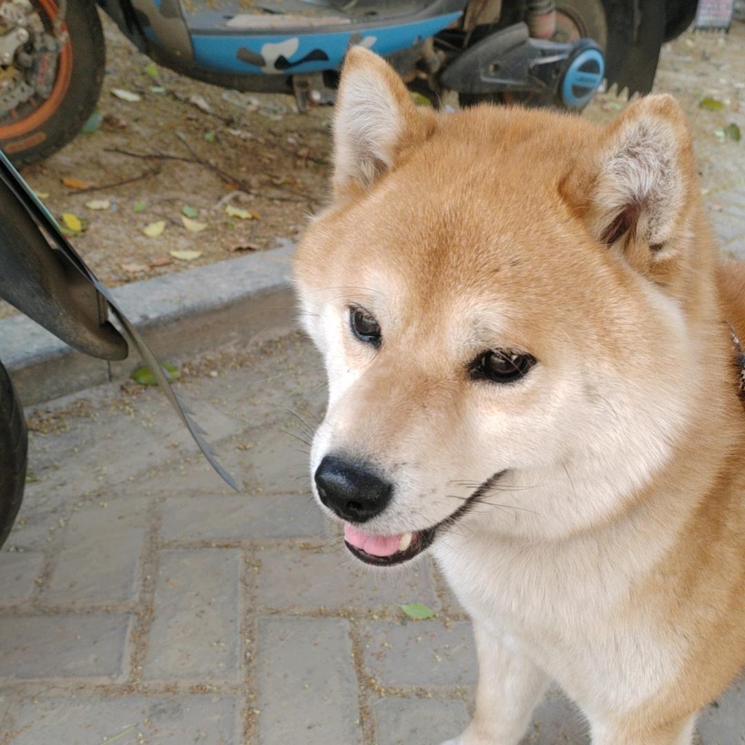 芜湖恒康机电科技