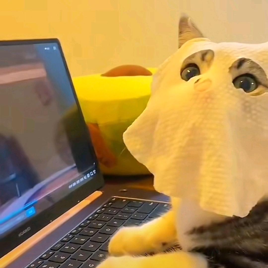 但好茶颜