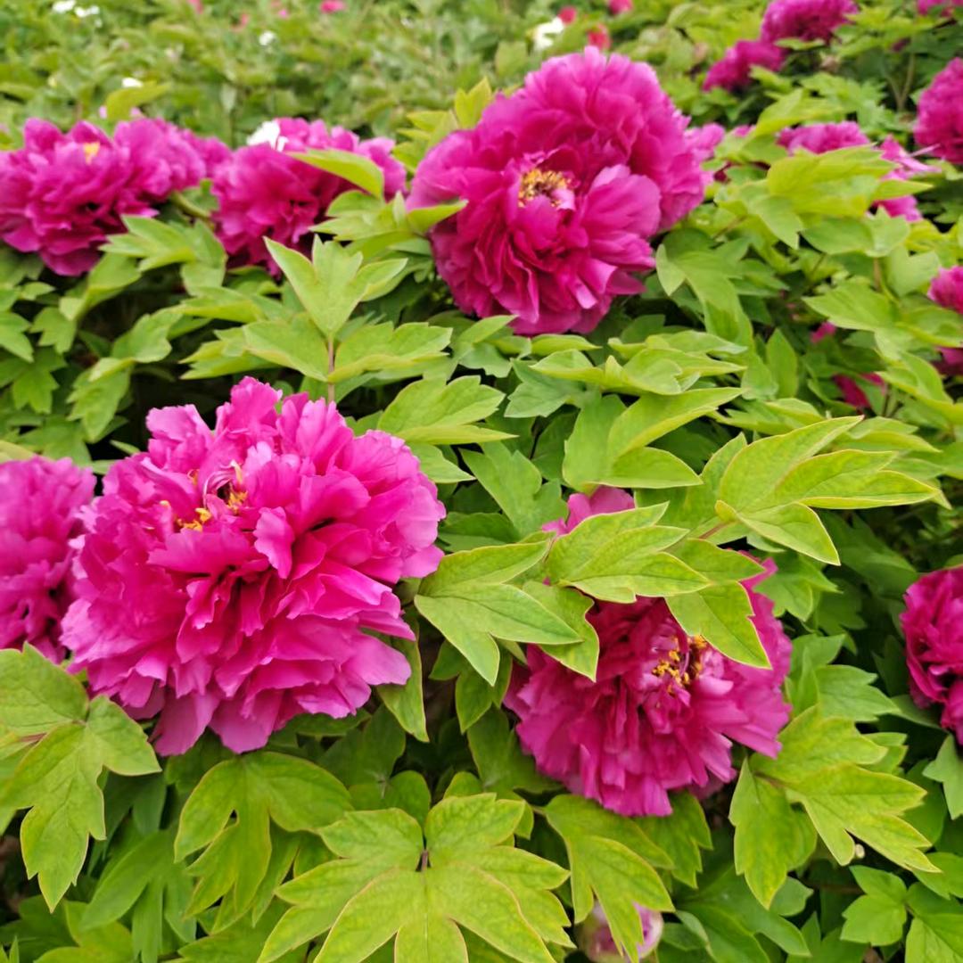 ℳঞ余生 💕 陪你❧到老⁵²⁰