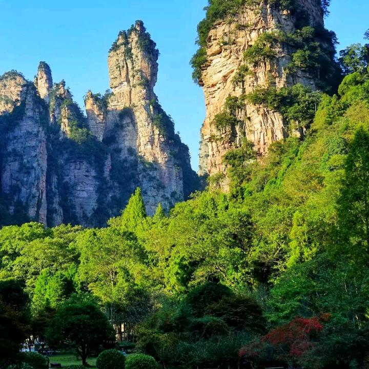 '龙哥