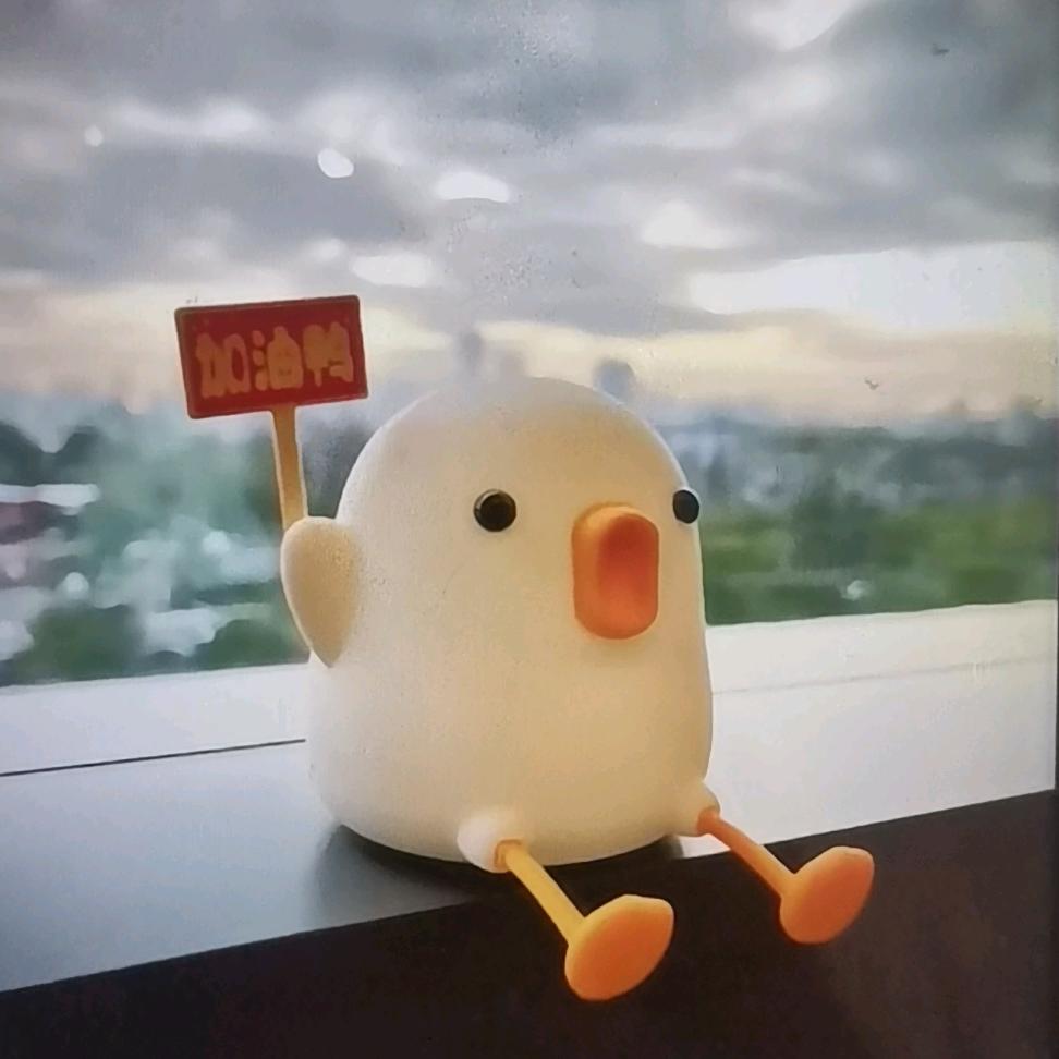 ✨💫锦鲤🐻
