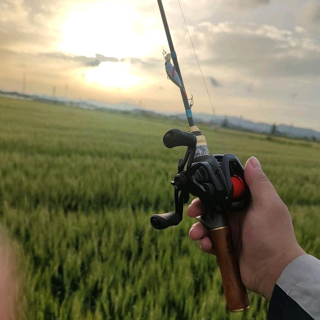 多少楼台烟雨中