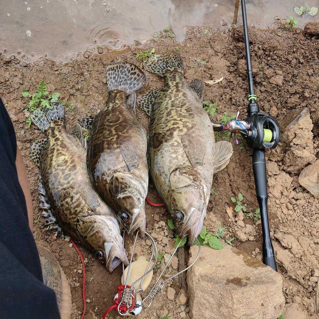 🌈卖米线的路亚佬🎣