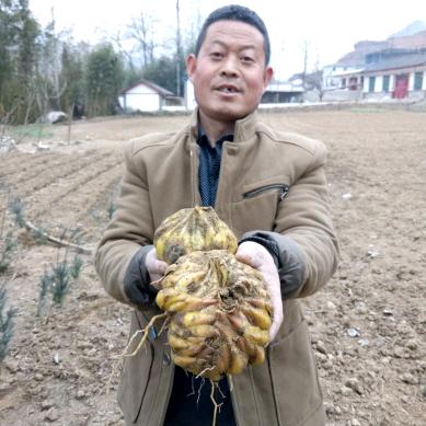 陈河青年七叔