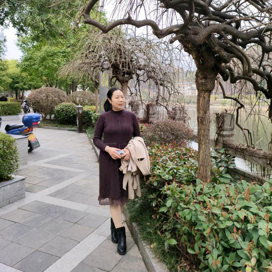 执念若梦
