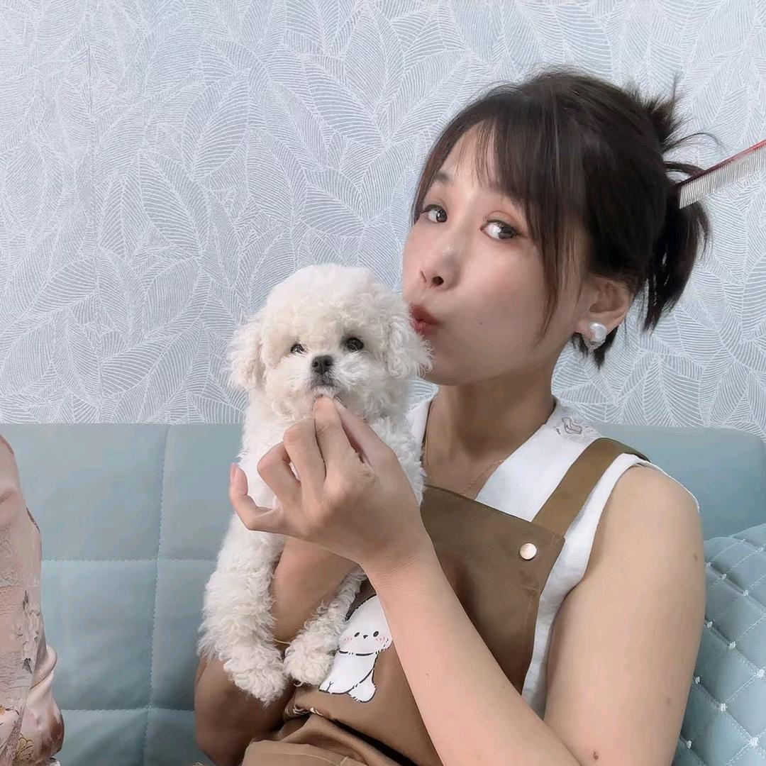 养狗狗的宏姐(比熊)