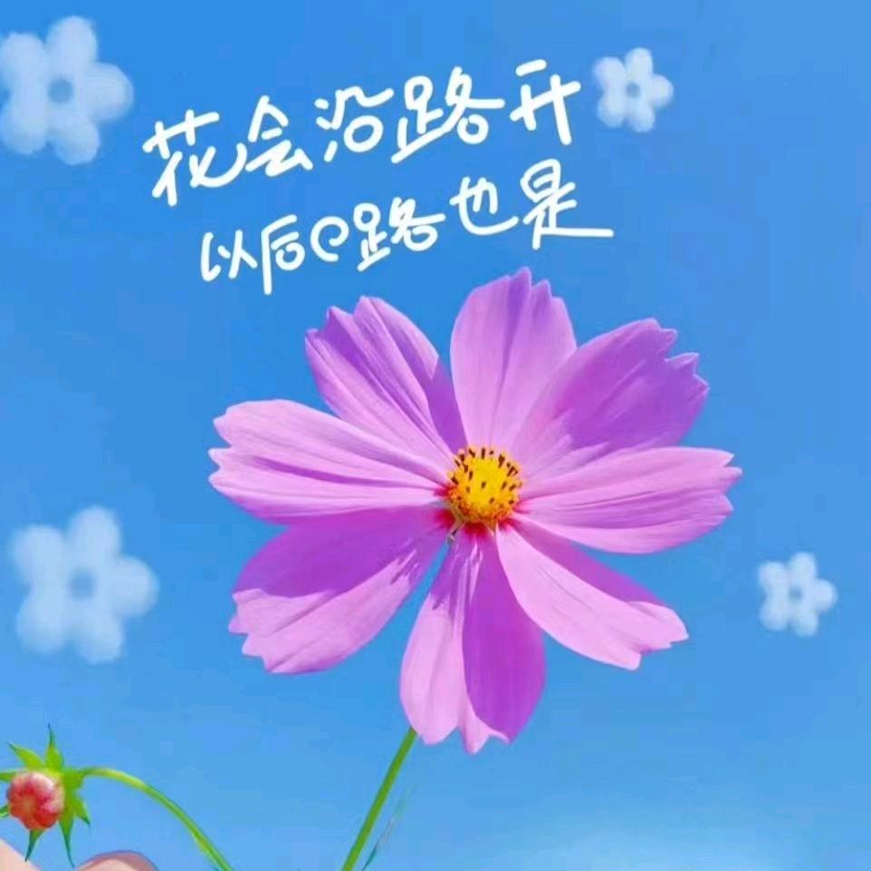 ❤心 想 是 程❤