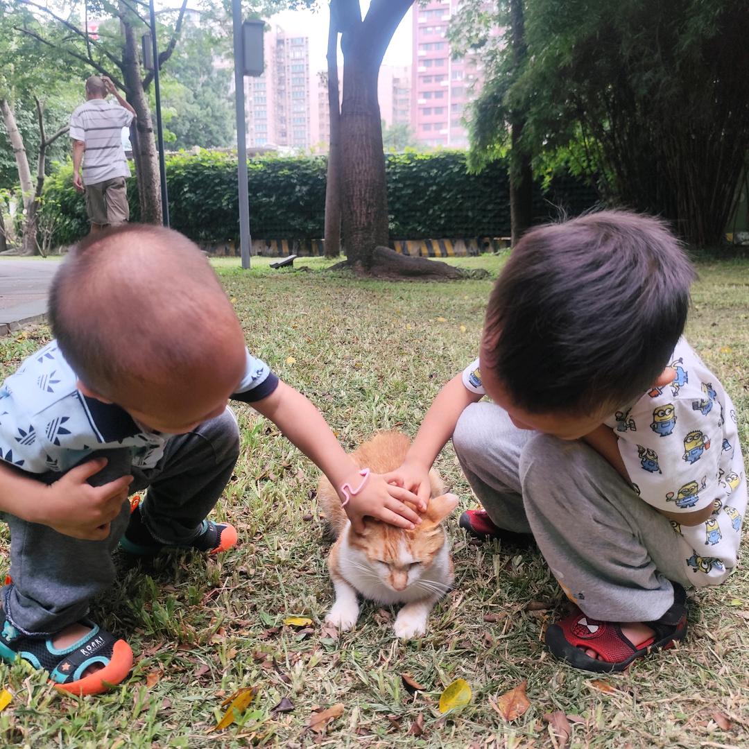 俩条粉肠的妈妈