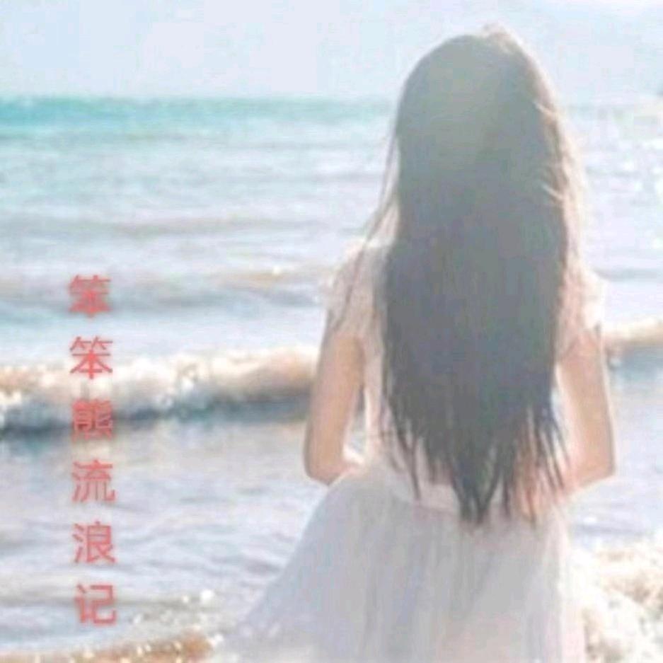 笨笨熊流浪记