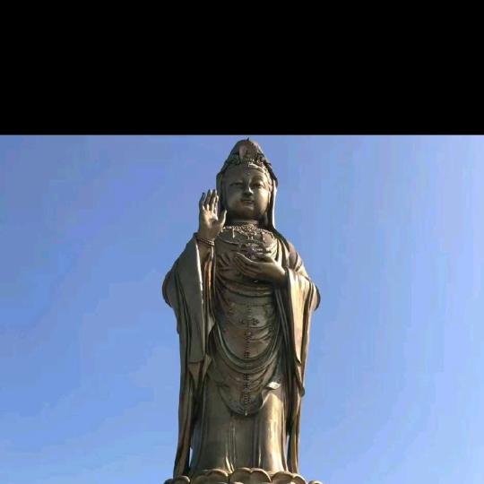 台州猎鹰赶集人卖圆