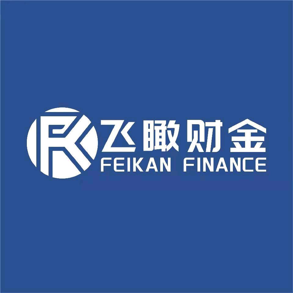 飞瞰财金
