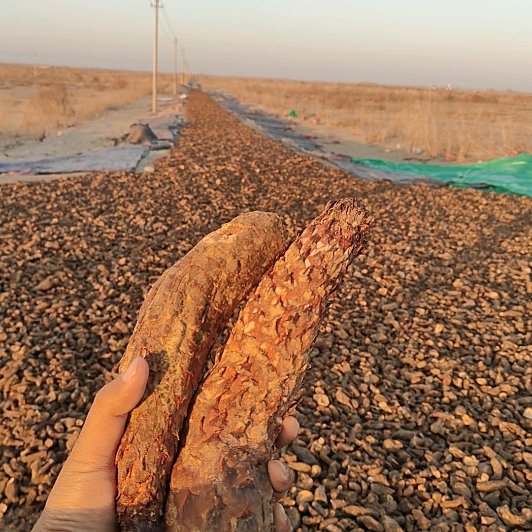 新疆古丽说特产