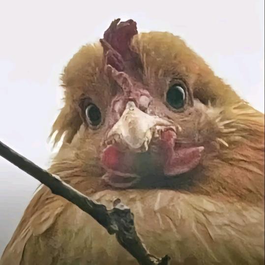 落麟
