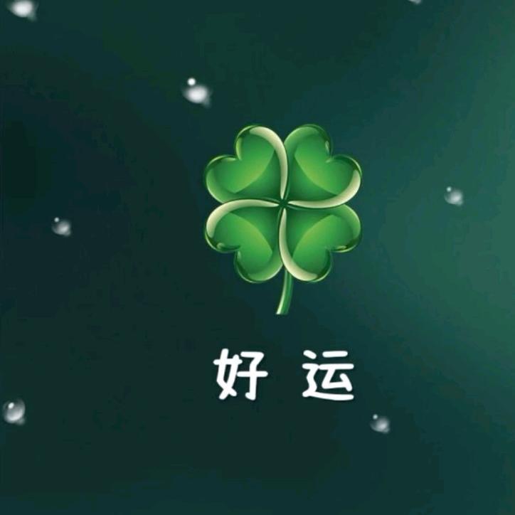 丁丁路