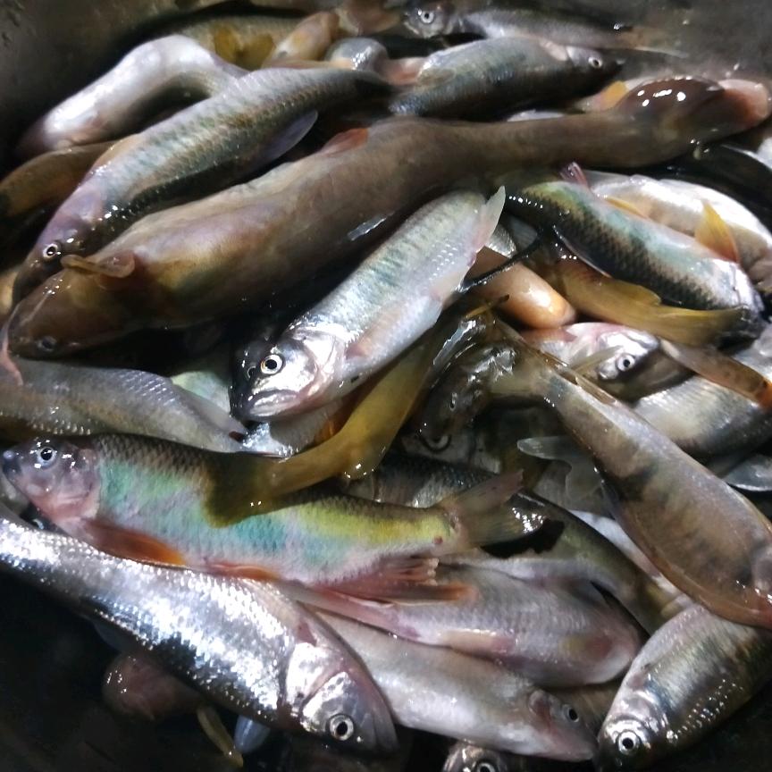 仙居县无牙哥电子商务商行